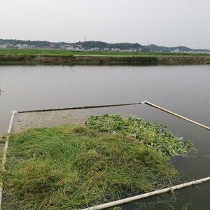 春华雷家大屋钓场