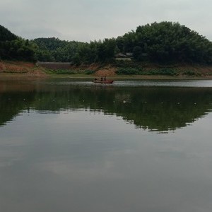 新阳水库