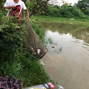 龙泉钓场