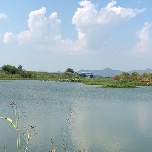 采桑湖