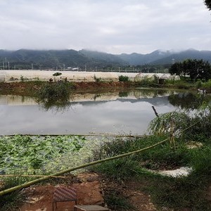 白龙桥宗能生态种植园