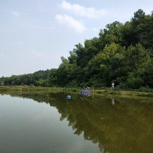 醴陵佳平钓场