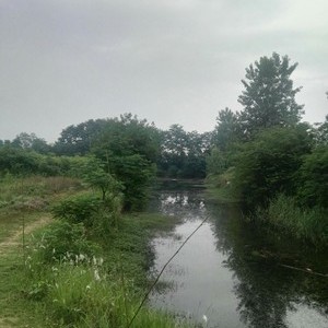 槐泗河