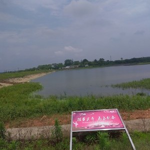 兴桥水库