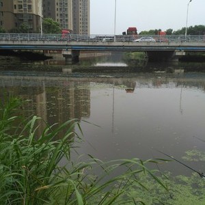 北兴塘河