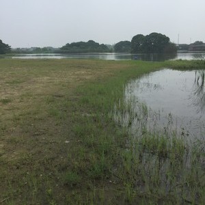 梁鸿湿地公园