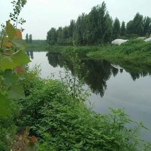 西沟河