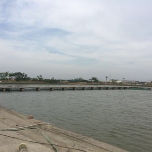 西太湖寨桥钓鱼农家乐