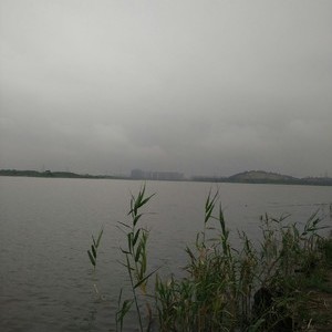 官莲湖