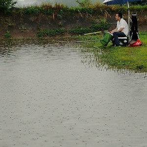 军哥生态钓鱼场