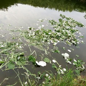 袁家村钓鱼场