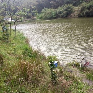 袁家村钓鱼场