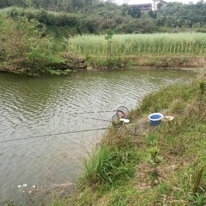 袁家村钓鱼场