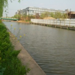 潮泾河