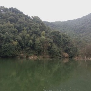 淡水湖水库