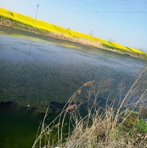 小润河