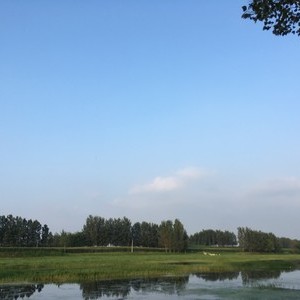 东鱼河