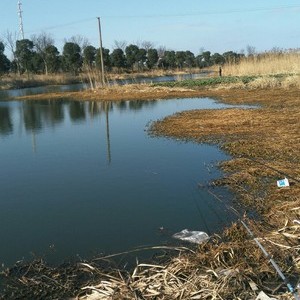 护厂河