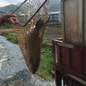 中方钓鱼岛竞技渔场