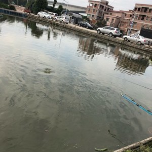 海南村钓鱼场
