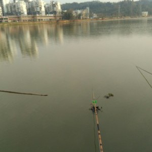 麻阳溪河