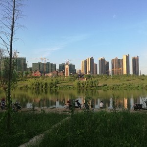 鑫辉茶庄钓鱼中心
