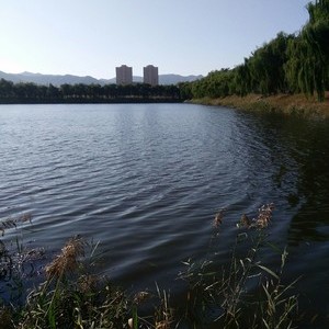 岔河水库