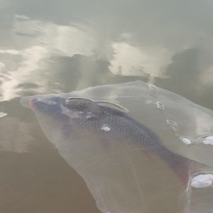 龙滩水库