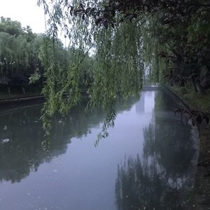 新浦河