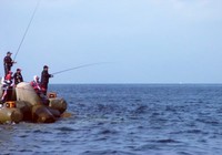 影响夏季钓鱼的天气与环境