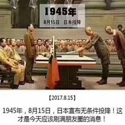 纪念1945年抗战胜利，活捉黄军！