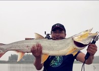 《浔鱼问道》20170820 三平路亚泰州探钓鱤鱼上篇